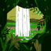 User profile avatar