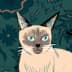 User profile avatar