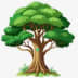 User profile avatar