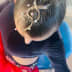 User profile avatar