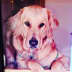 User profile avatar
