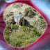 User profile avatar