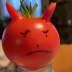 User profile avatar