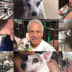 User profile avatar