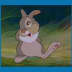User profile avatar