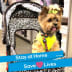 User profile avatar
