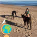User profile avatar