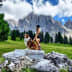 User profile image