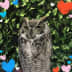 User profile avatar