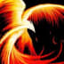 User profile avatar