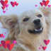 User profile avatar