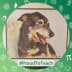 User profile avatar