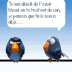 User profile avatar