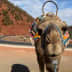User profile avatar