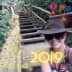 User profile avatar