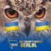 User profile avatar