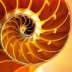 User profile avatar
