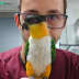 User profile avatar