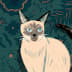 User profile avatar