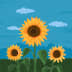 User profile avatar