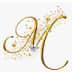 User profile avatar