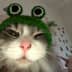 User profile avatar