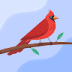 User profile avatar
