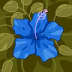 User profile avatar