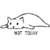 User profile avatar