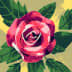 User profile avatar