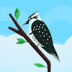 User profile avatar