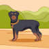 User profile image