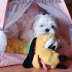 User profile avatar