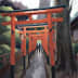 User profile avatar