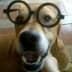 User profile avatar