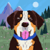 User profile avatar