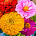 User profile avatar