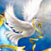 User profile avatar