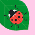 User profile avatar