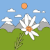 User profile avatar
