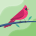 User profile avatar