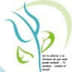 User profile avatar