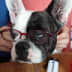 User profile avatar