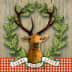 User profile avatar