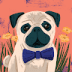 User profile avatar
