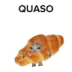 User profile avatar