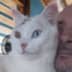 User profile avatar
