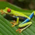 User profile avatar