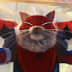 User profile avatar