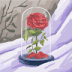 User profile avatar